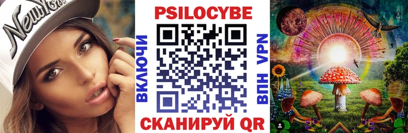 Галлюциногенные грибы Psilocybine cubensis  маркетплейс наркотические препараты  Алейск 